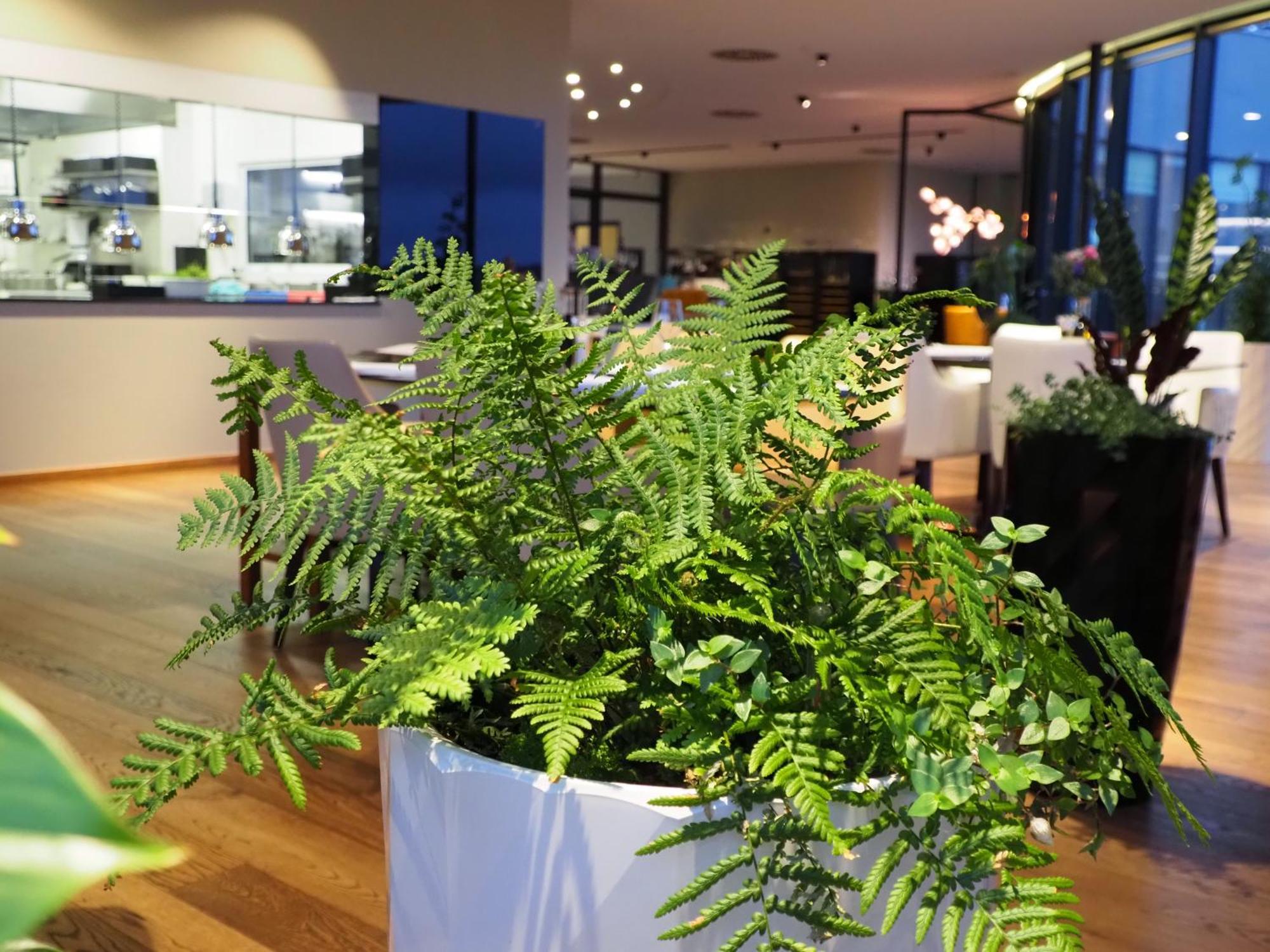 Mg Restaurace/Luxury Apartments Mladá Boleslav المظهر الخارجي الصورة